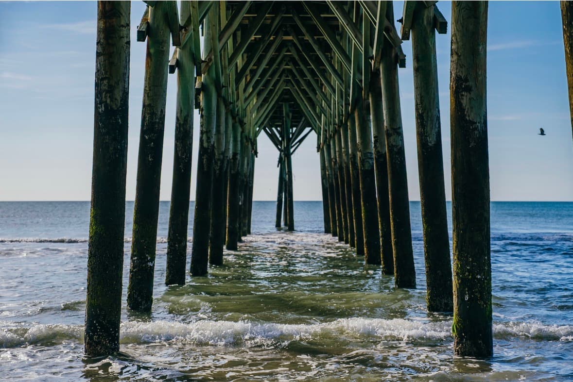 Under the pier this morning around 9:30 AM. 😍